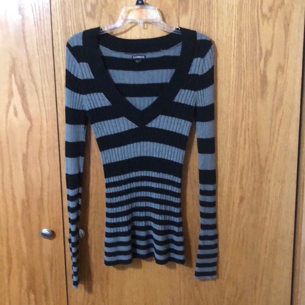 Express V neck sweater